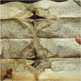 Conservation of a unique set of Parchement documents from the Central Library of Alexandria University
